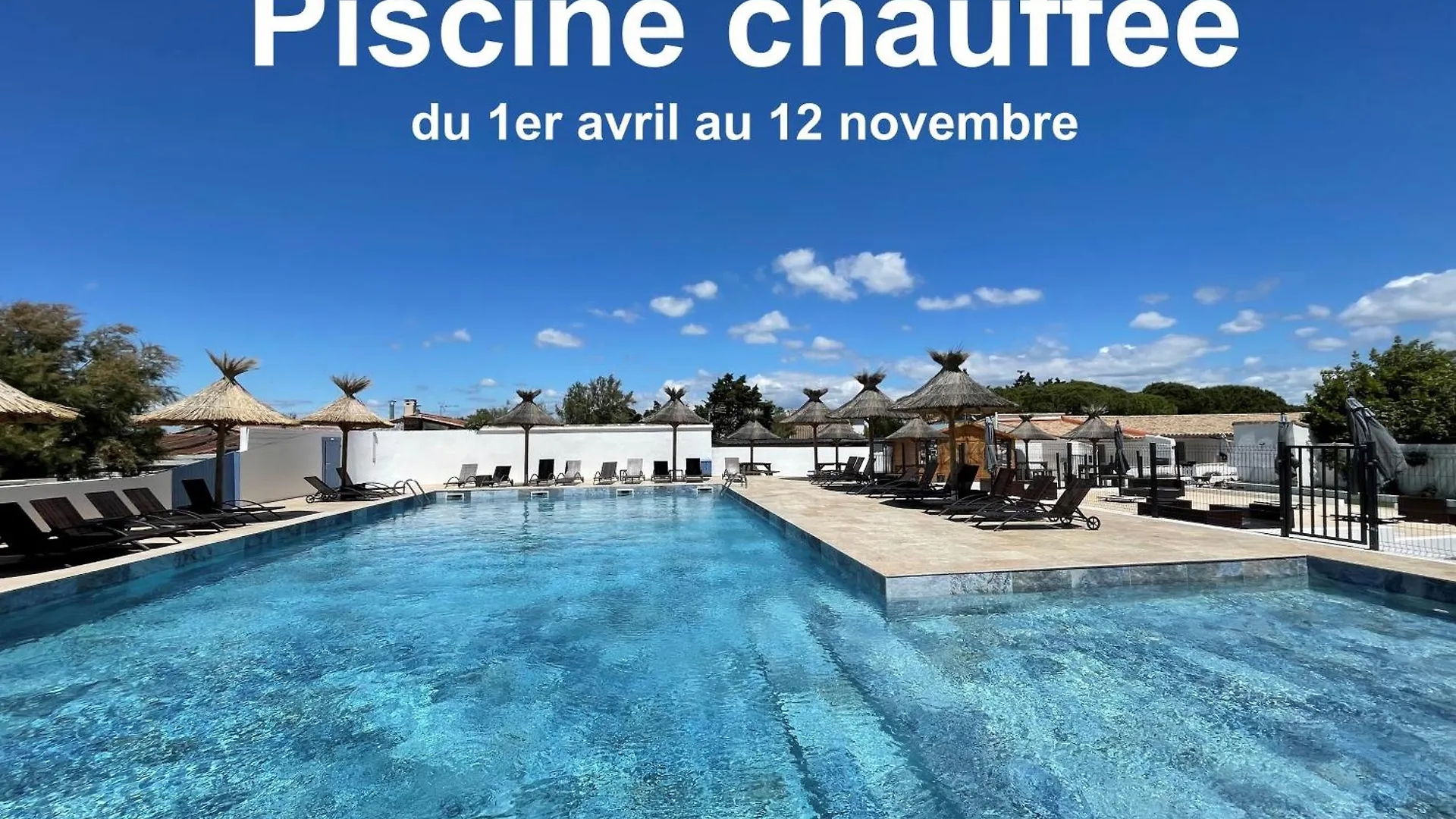 4 Hôtels Familiaux près du Safari Gallon pour Découvrir la Camargue