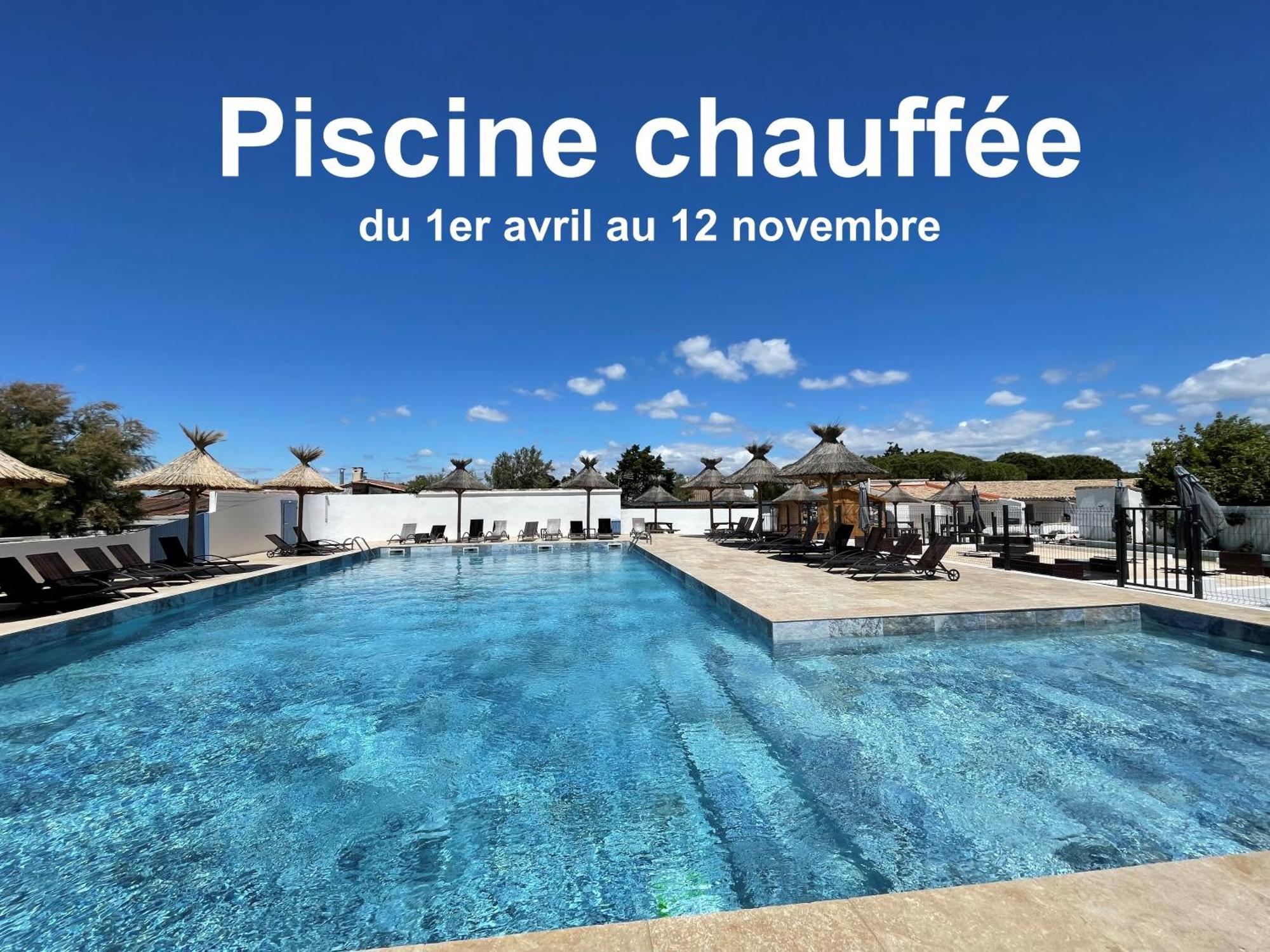 4 Hôtels Familiaux près du Safari Gallon pour Découvrir la Camargue